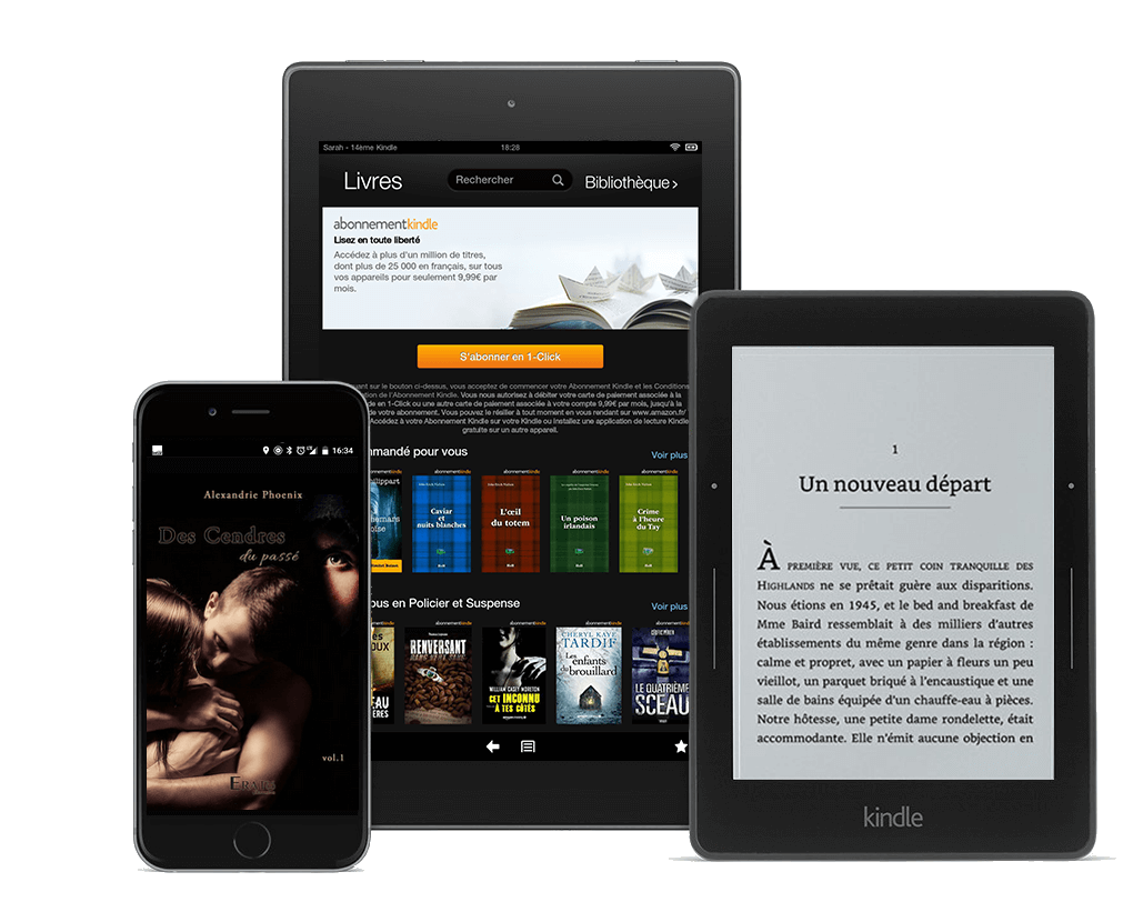 Format livre numerique kindle des cendres du passe alexandrie phoenix